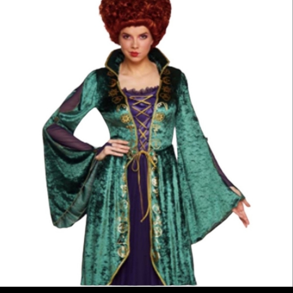 Disney Hocus Pocus Adult Size Winifred Sanderson Full Costume and Matching Wig